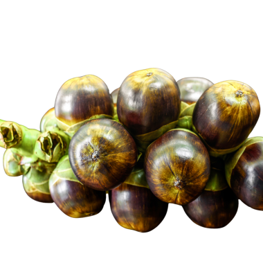 Palm products