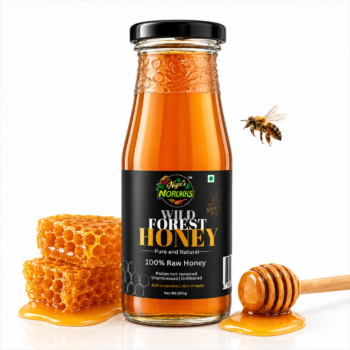 Wild Raw Honey -Polen not removed-Unfiltered Honey | Unprocessed